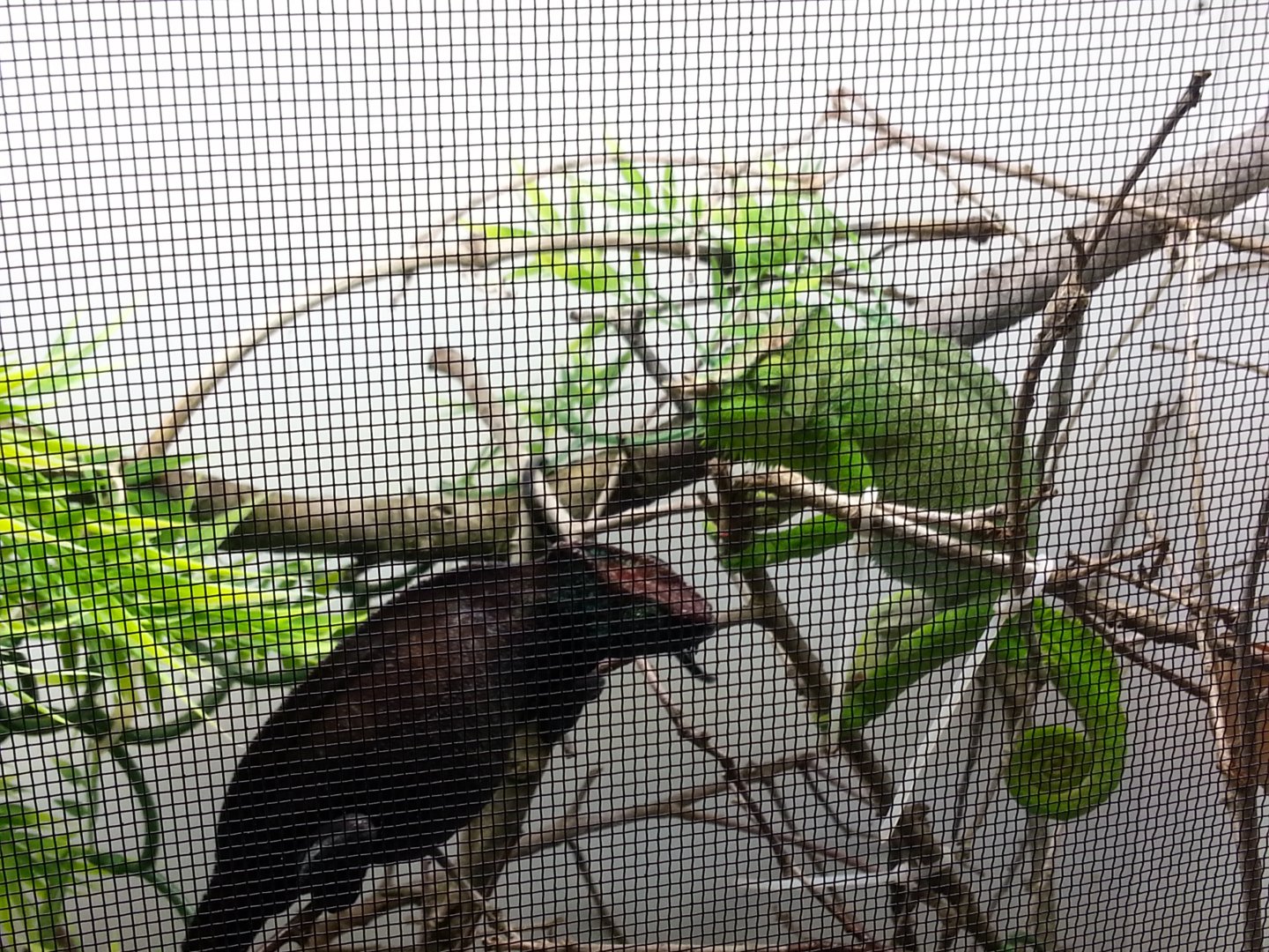 20160512_133652.jpg