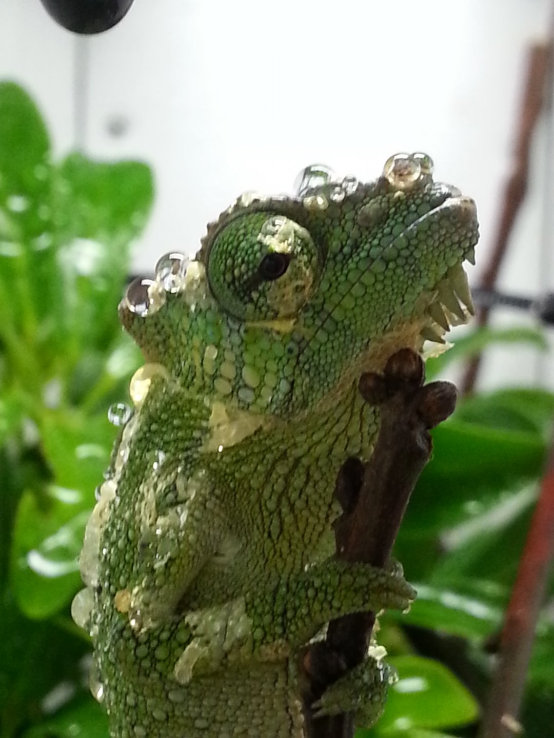 20160513_072115.jpg