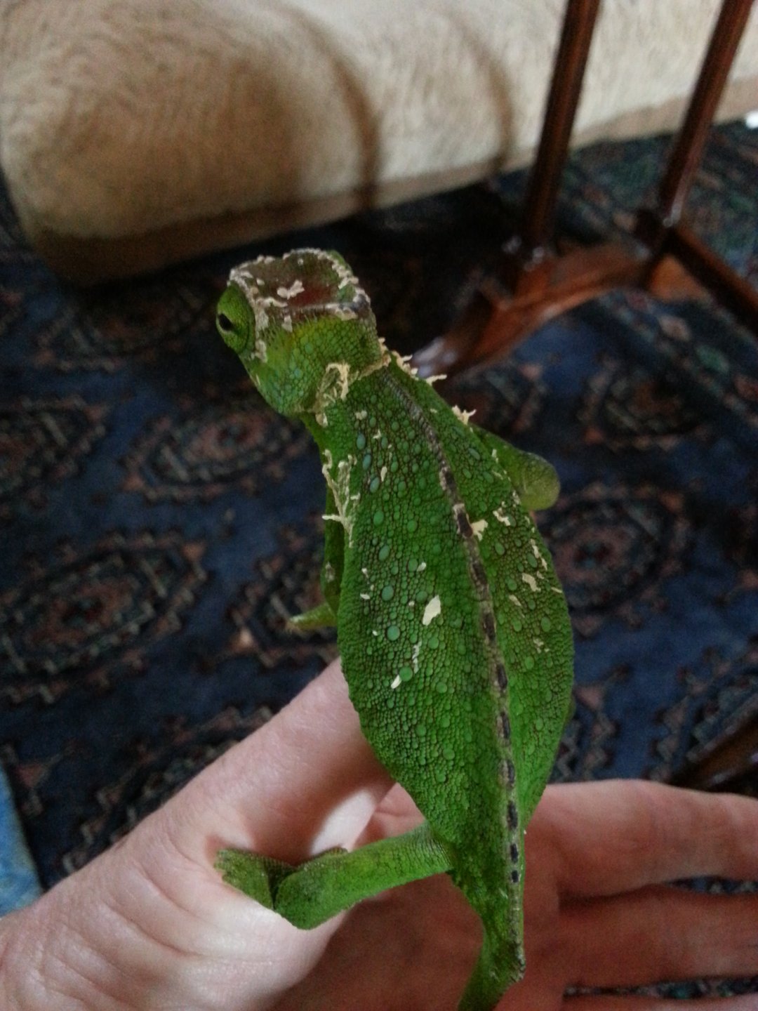 20160513_090134.jpg