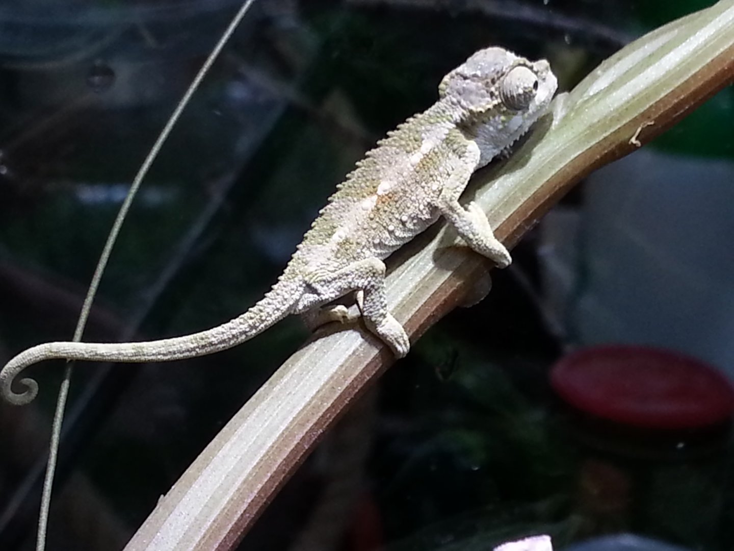 20160517_104604.jpg