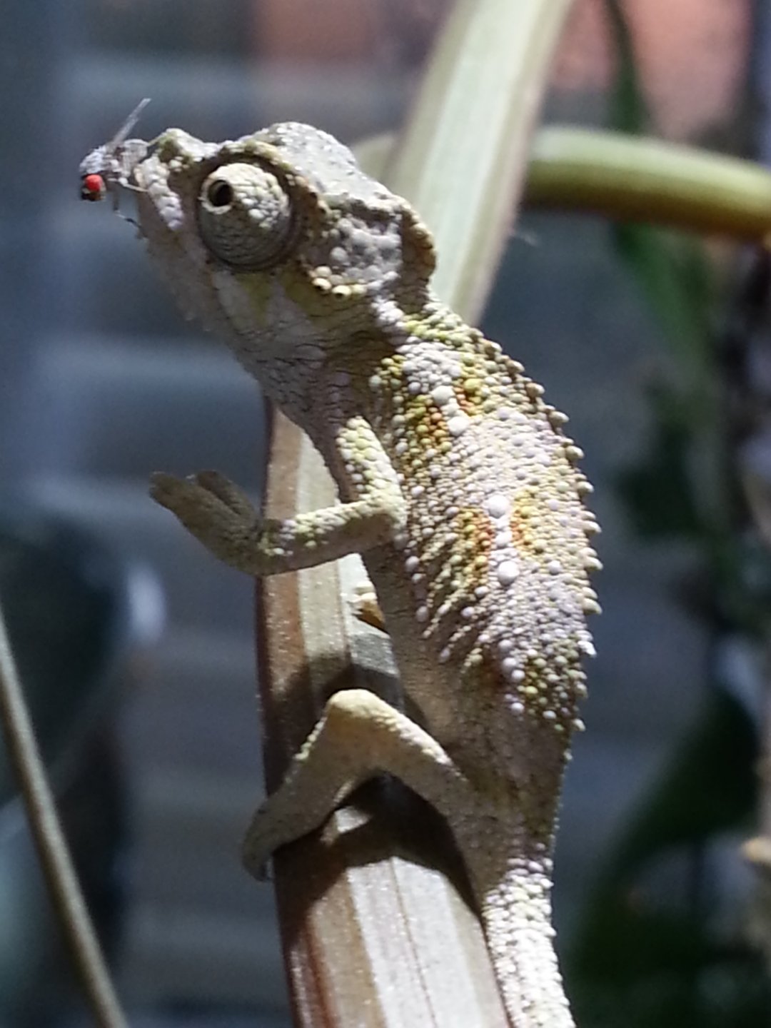20160517_104635.jpg
