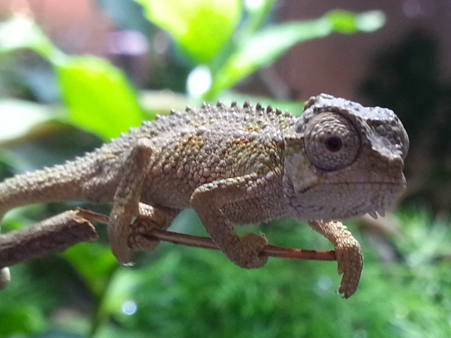 20160517_104701.jpg