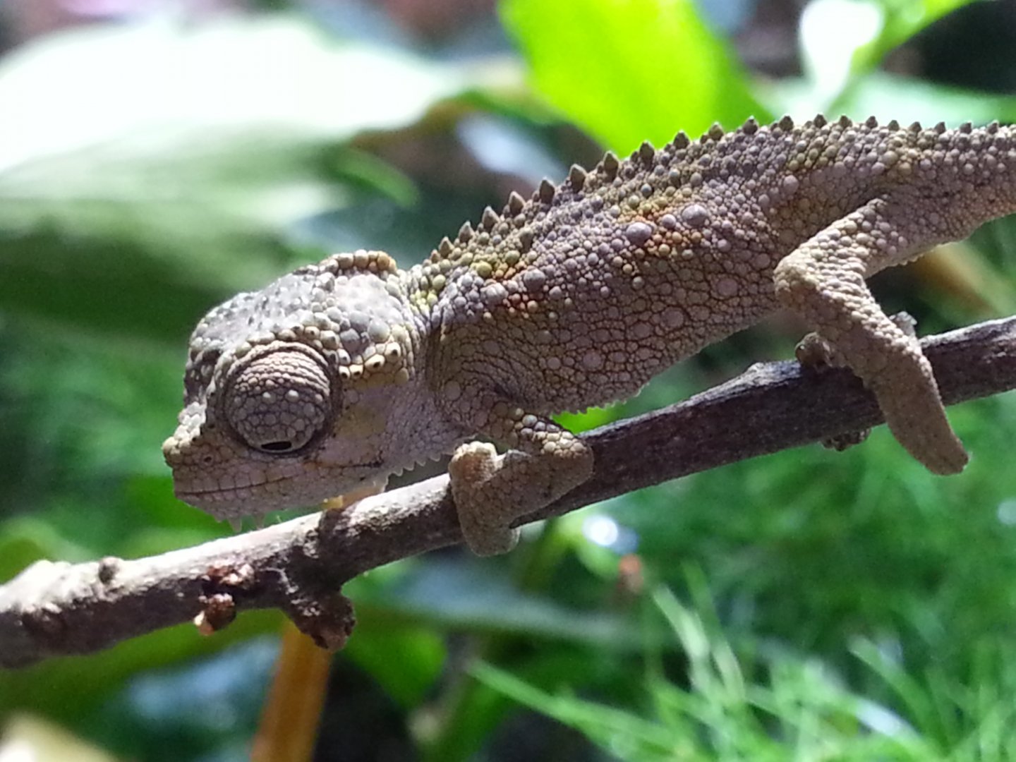 20160517_104820.jpg