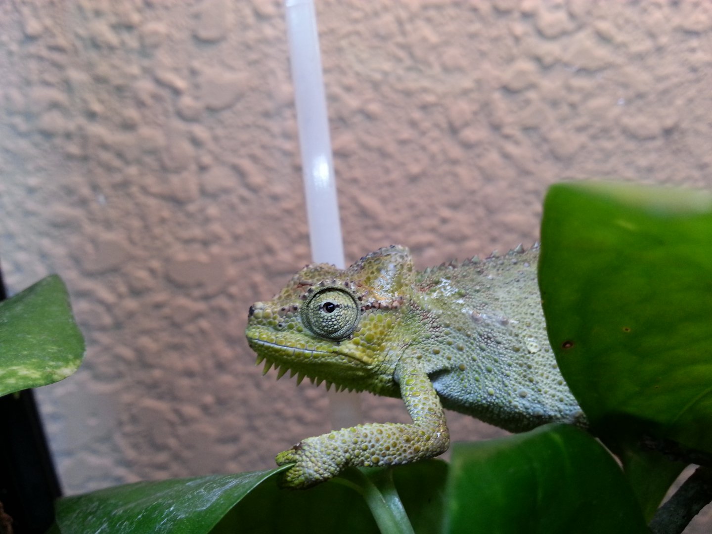 20160517_123255.jpg