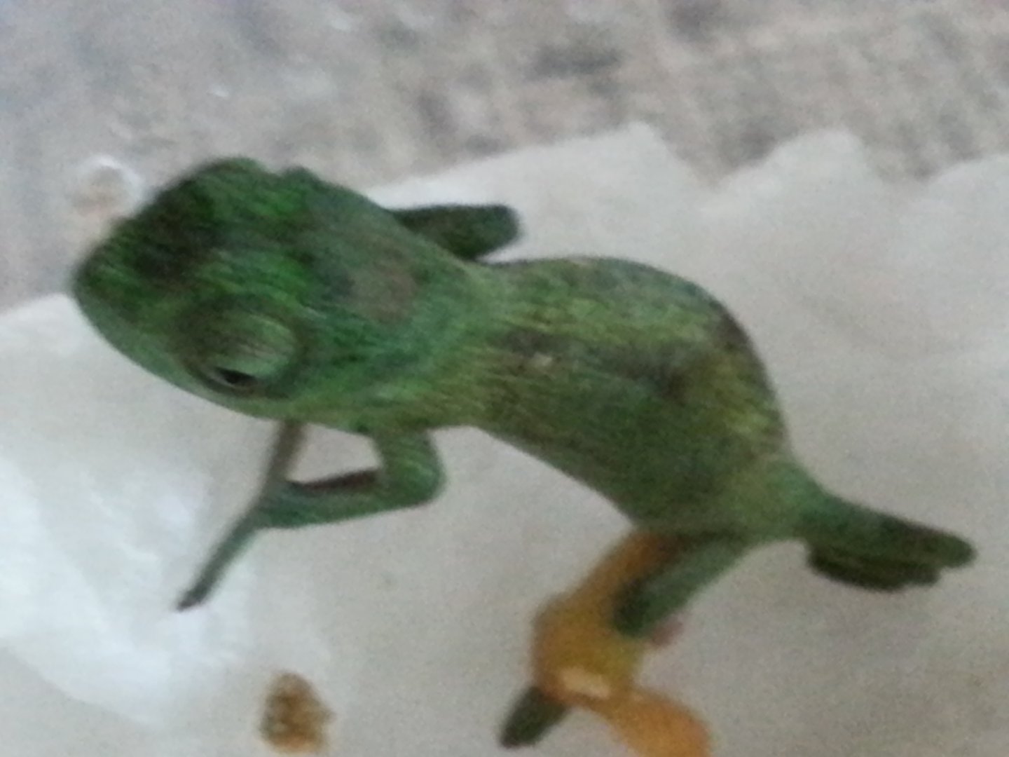 20160518_164432.jpg
