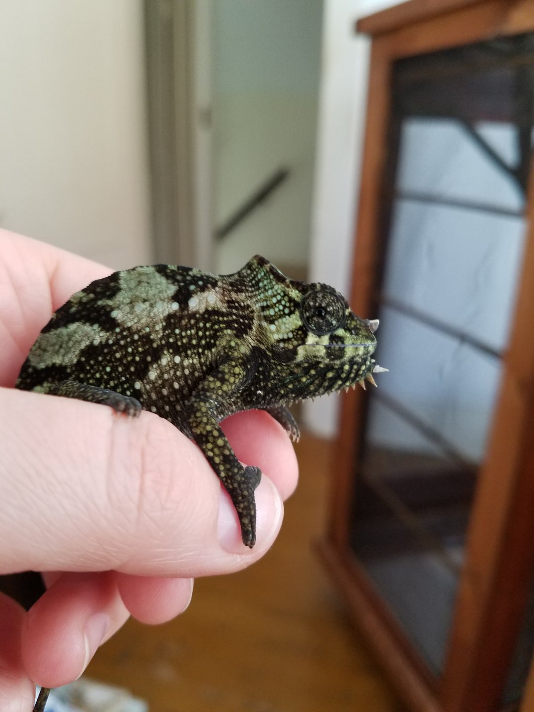 20160519_100847.jpg