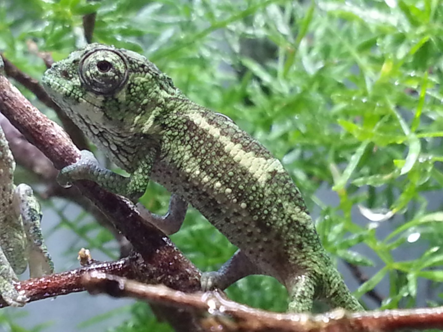 20160520_172214.jpg