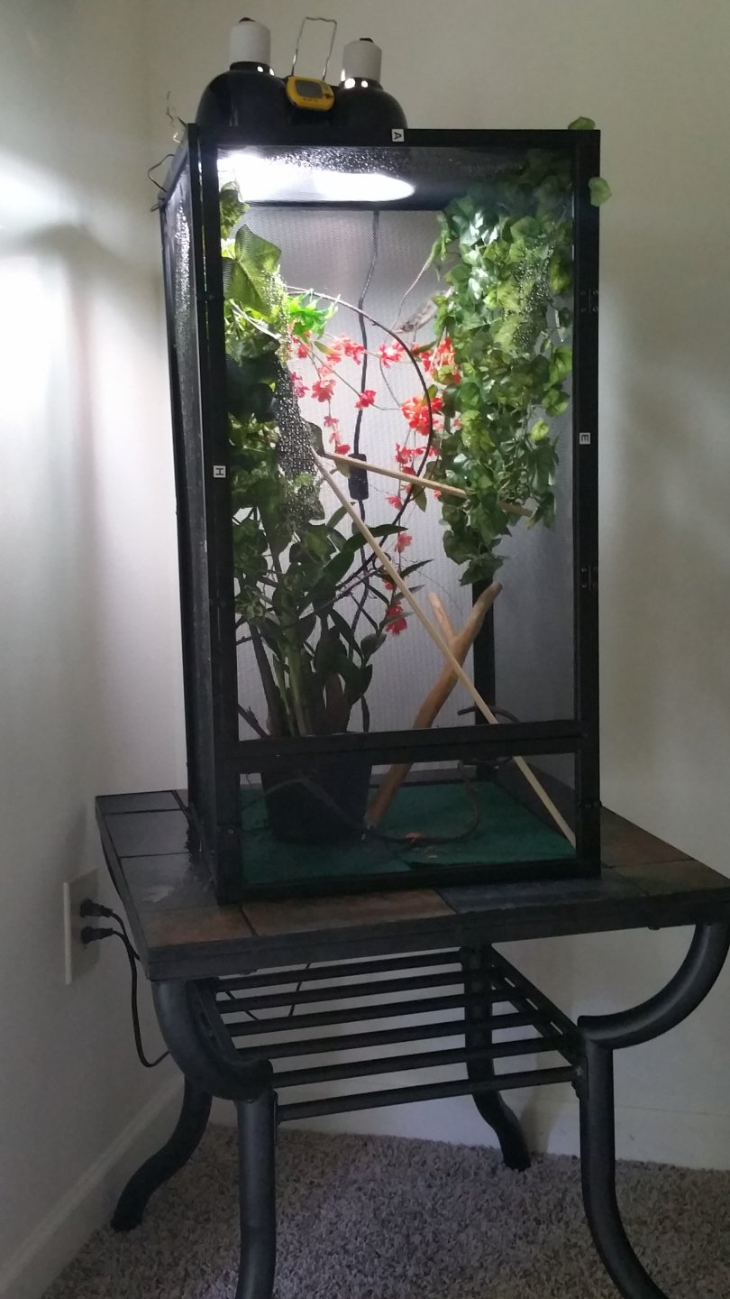 20160522_143623.jpg
