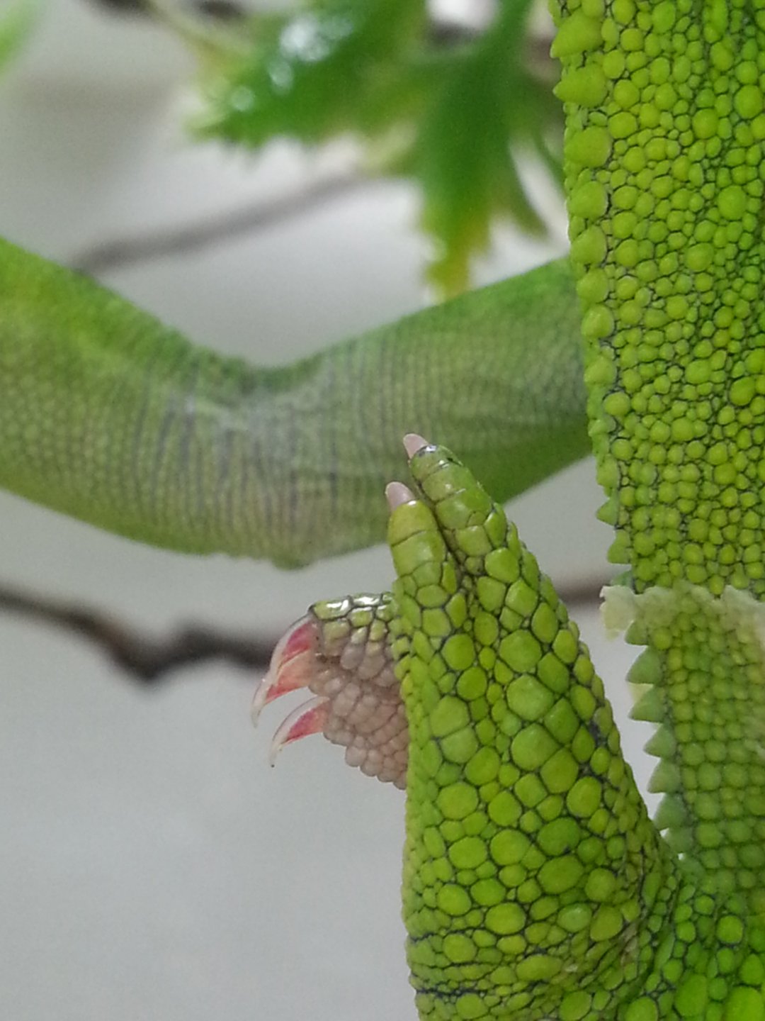 20160526_133131.jpg