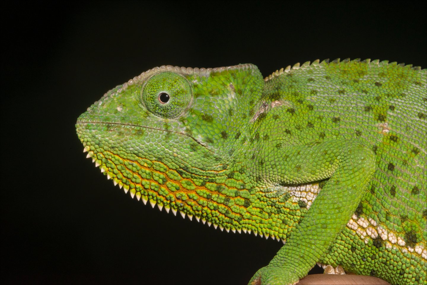20160526_Uganda_WER_6562 copy.jpg