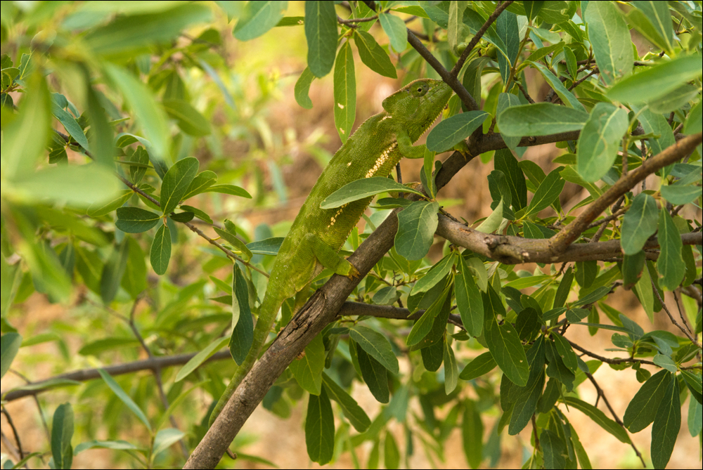 20160526_Uganda_WER_6583 copy.jpg