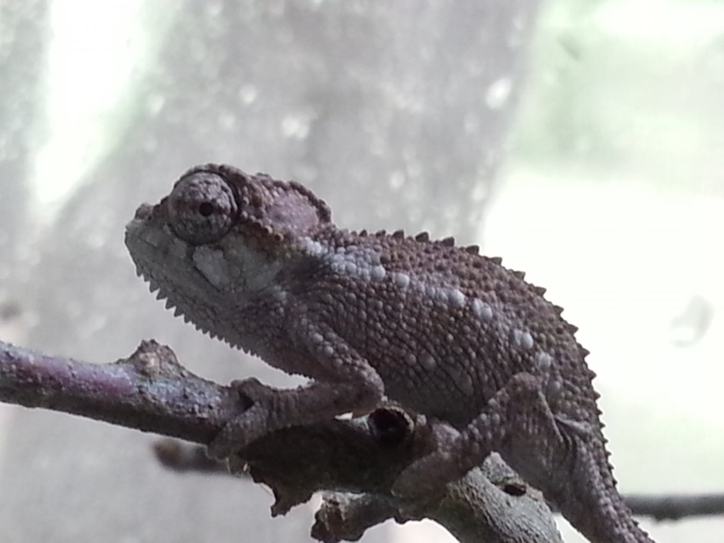 20160531_115808.jpg
