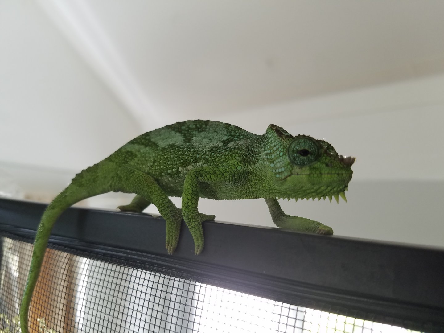 20160531_141621.jpg