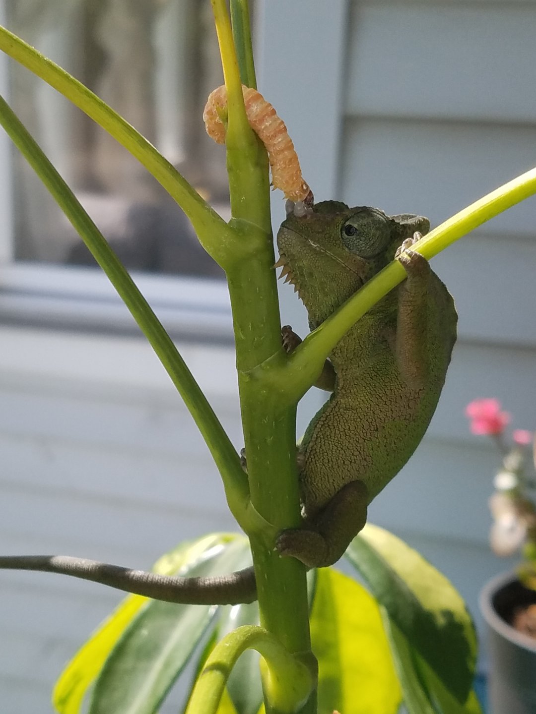 20160609_161637.jpg