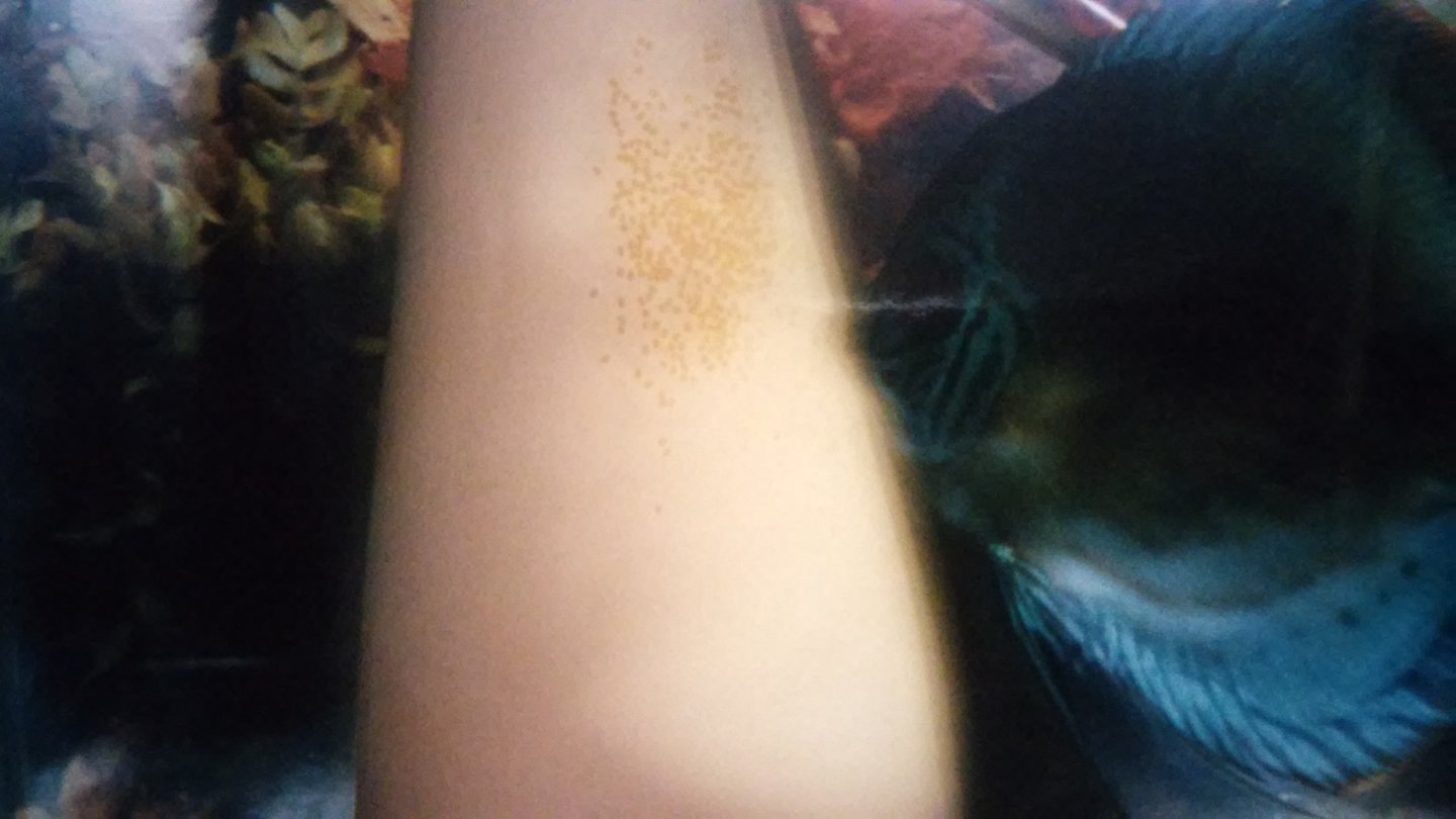 20160610_070658.jpg