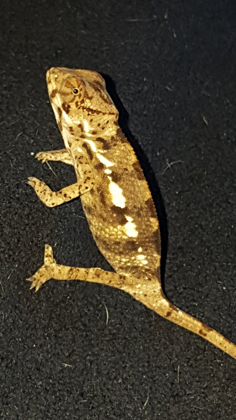 20160612_154325.jpg