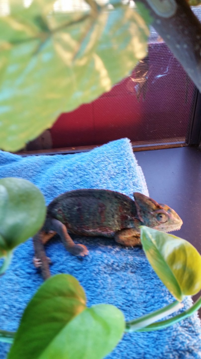 20160612_164515.jpg
