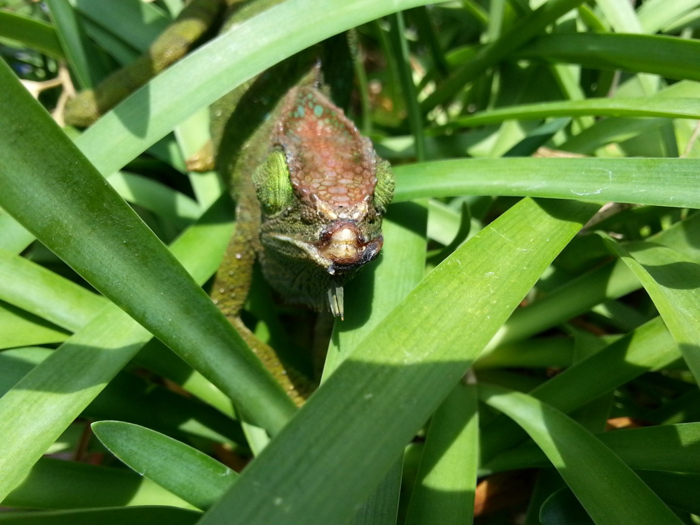 20160614_140126.jpg