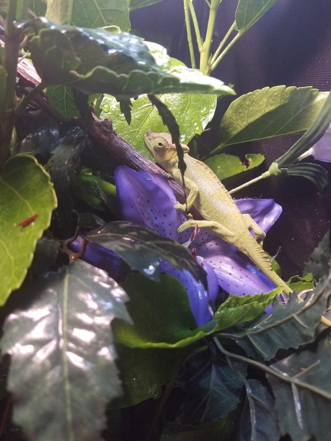 20160615_091457.jpg