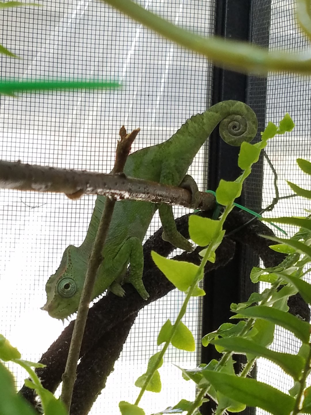 20160617_114318.jpg