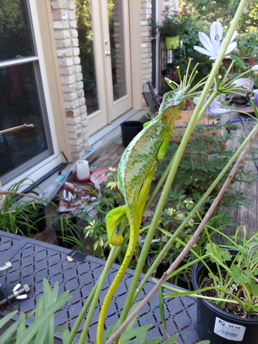 20160617_180040.jpg