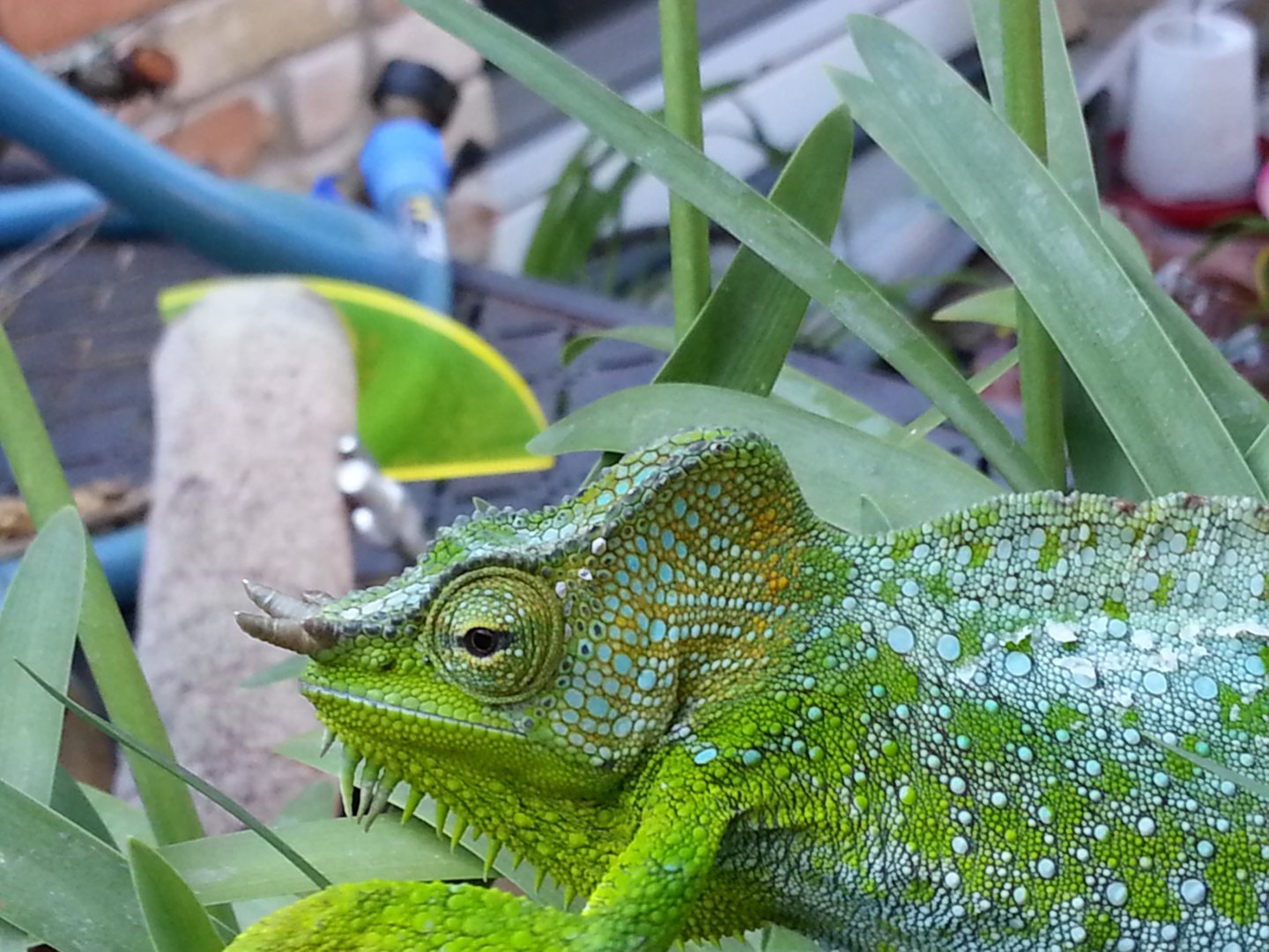 20160617_180106.jpg