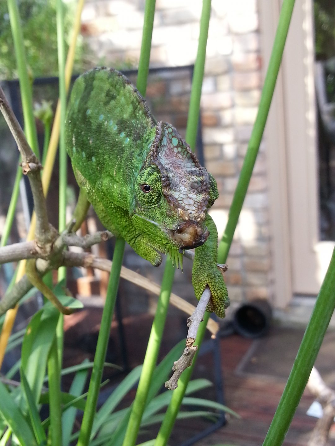 20160618_085742.jpg