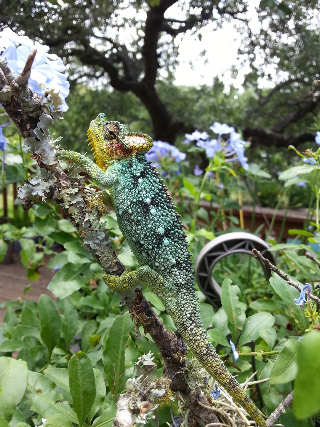 20160620_120435.jpg
