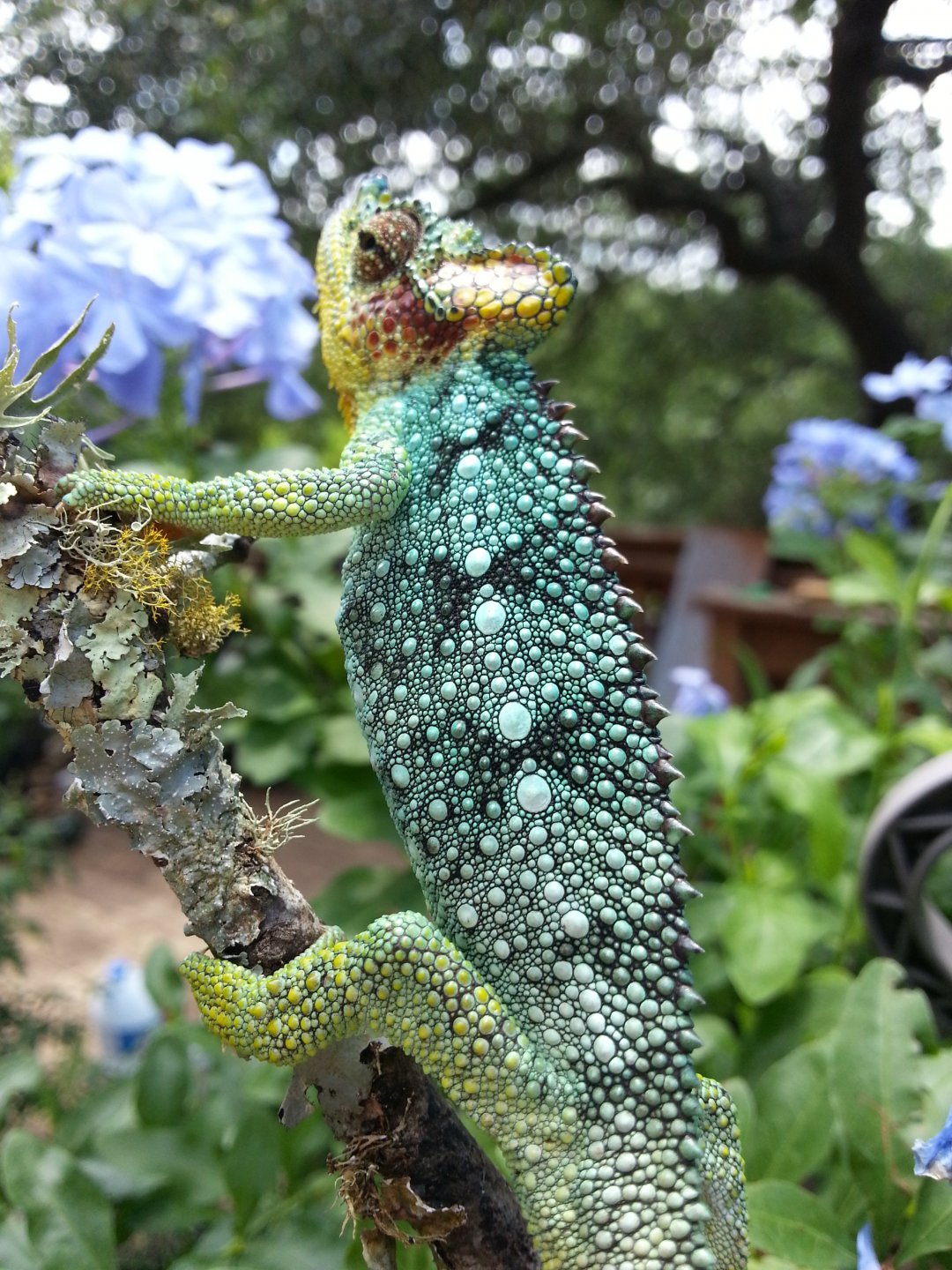 20160620_120522.jpg