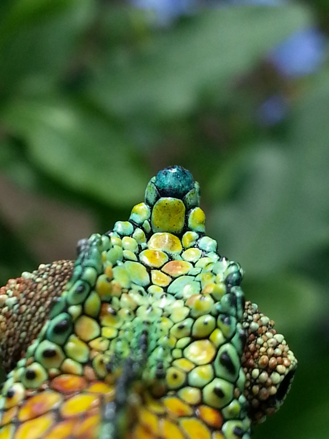 20160620_120544.jpg