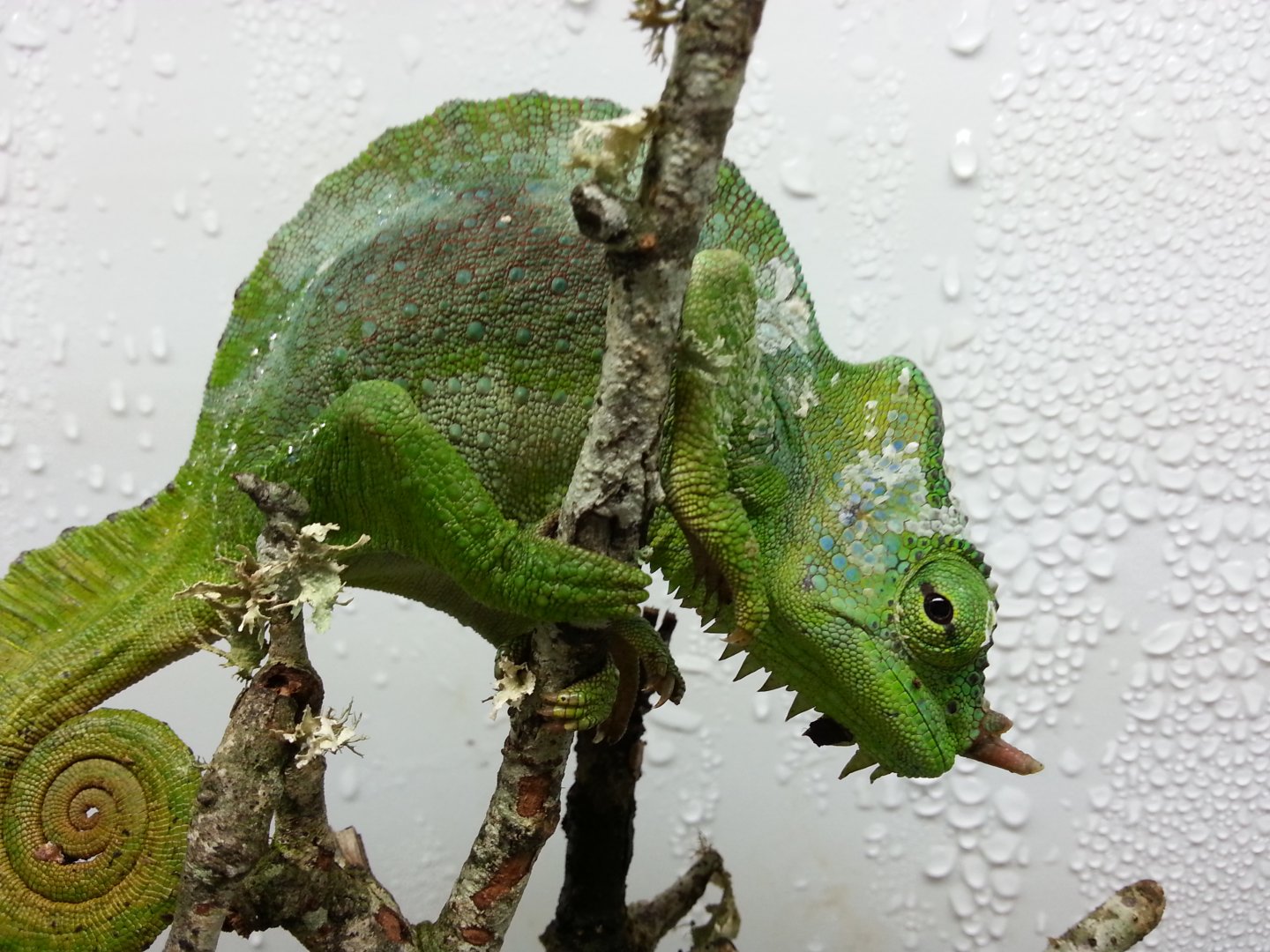 20160622_085724.jpg