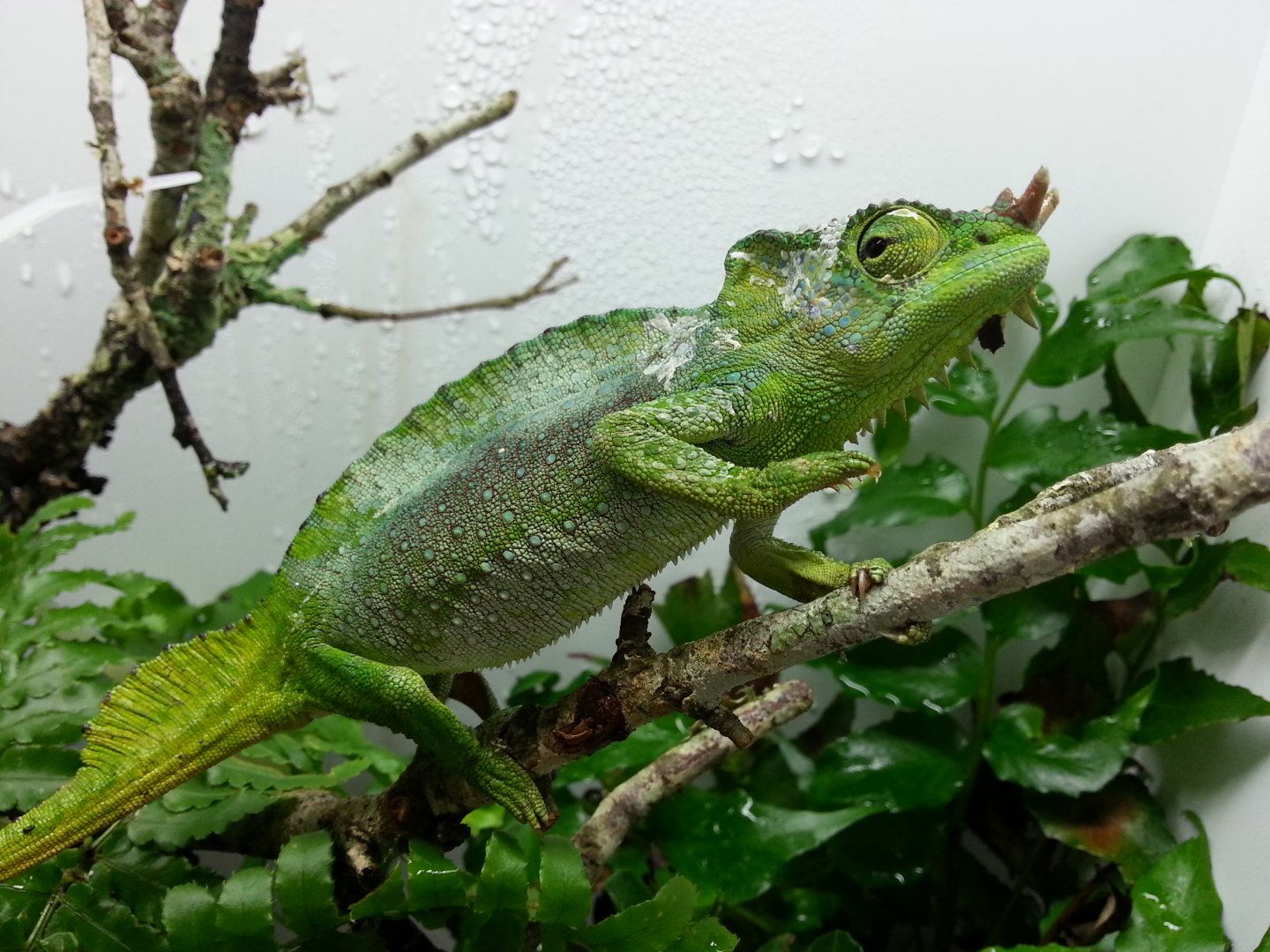 20160622_090020.jpg