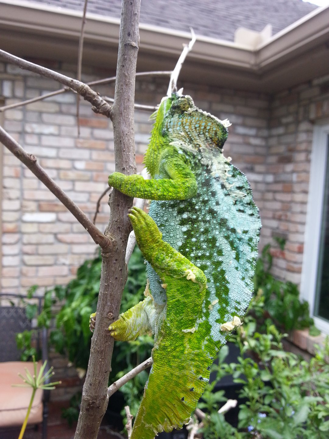 20160625_161135.jpg
