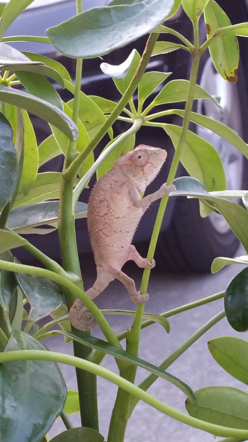 20160625_201155.jpg