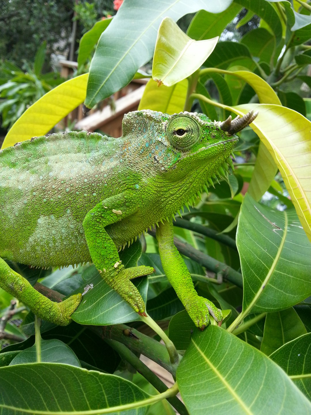 20160626_113432.jpg