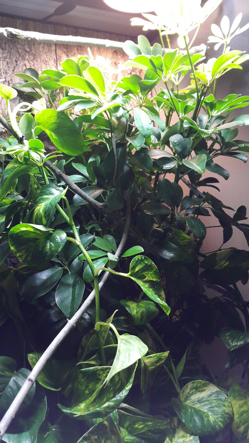 20160628_094514.jpg