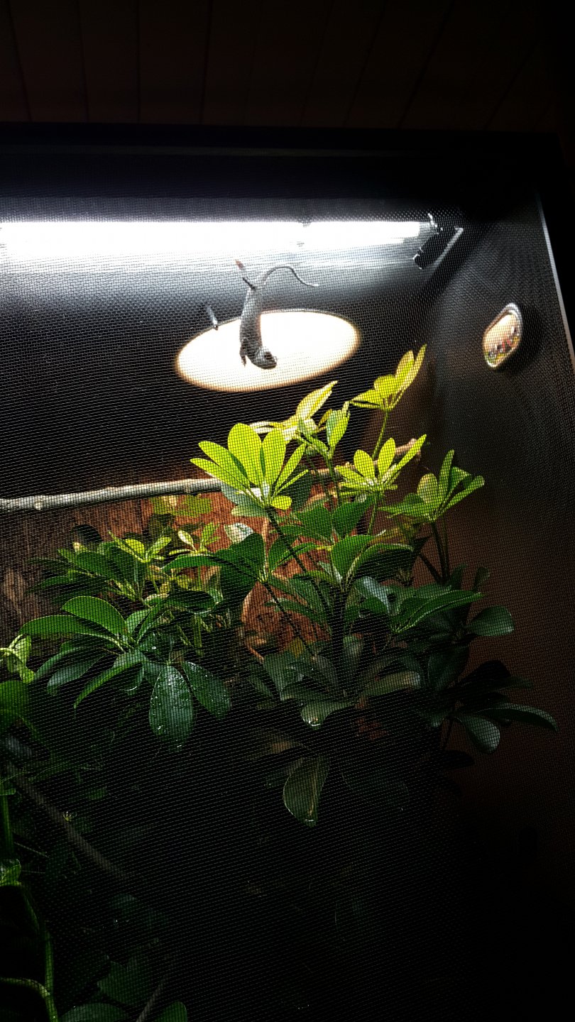 20160628_125506.jpg
