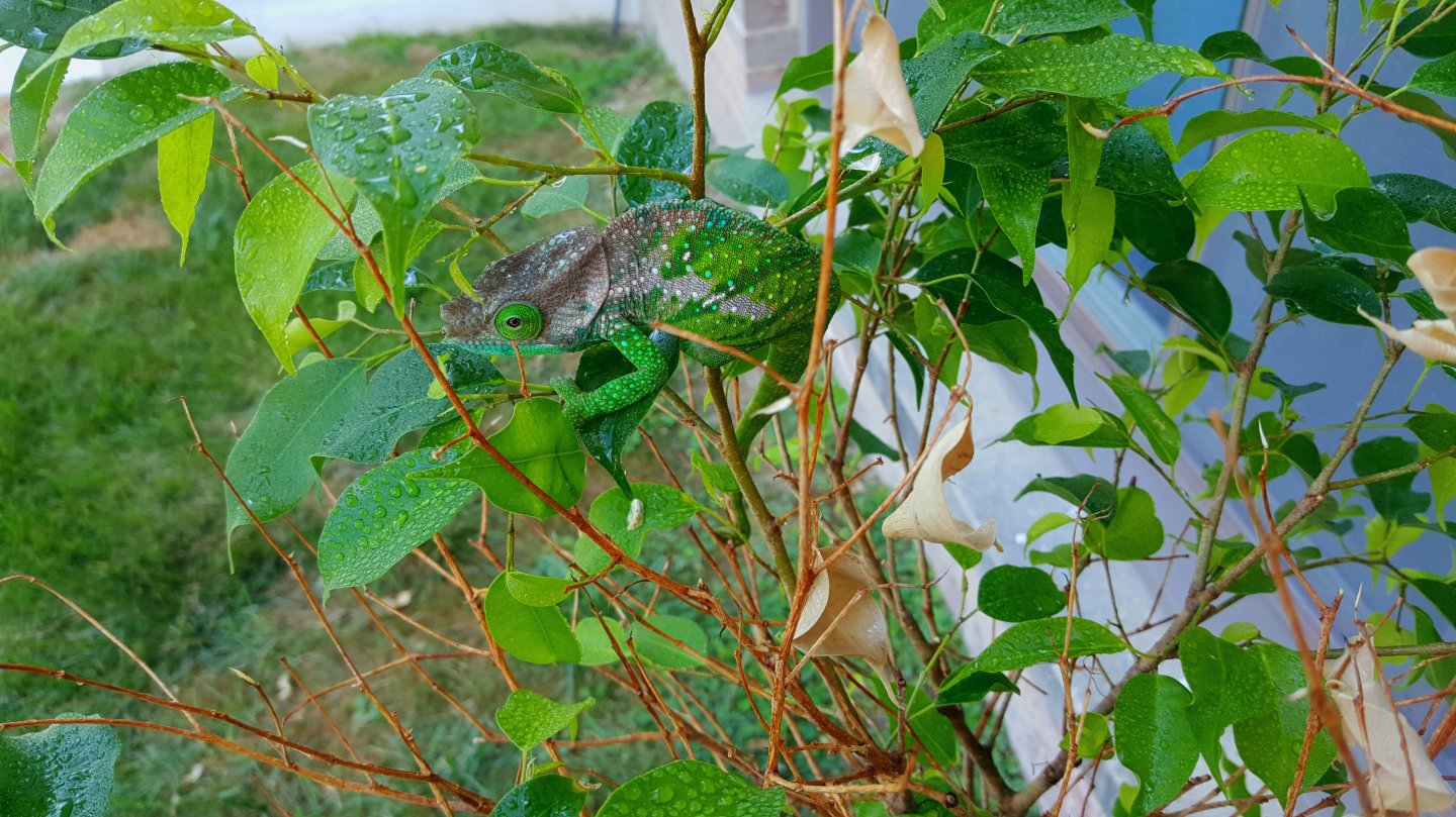 20160711_171534.jpg