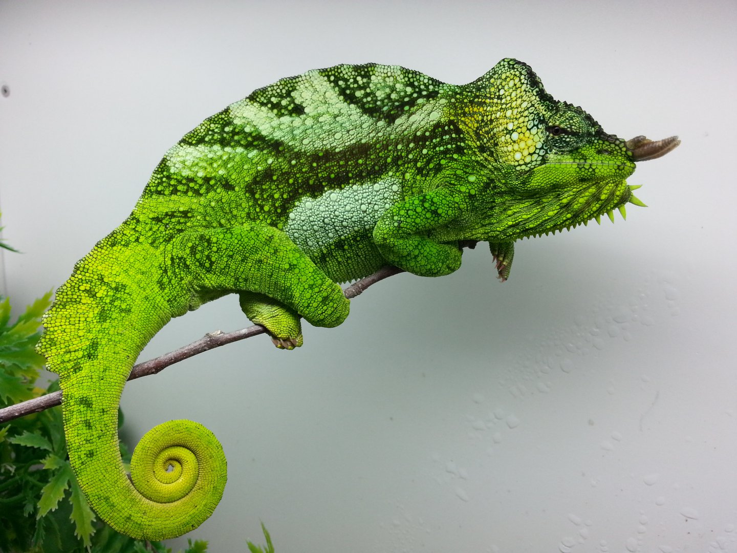 20160711_171542.jpg