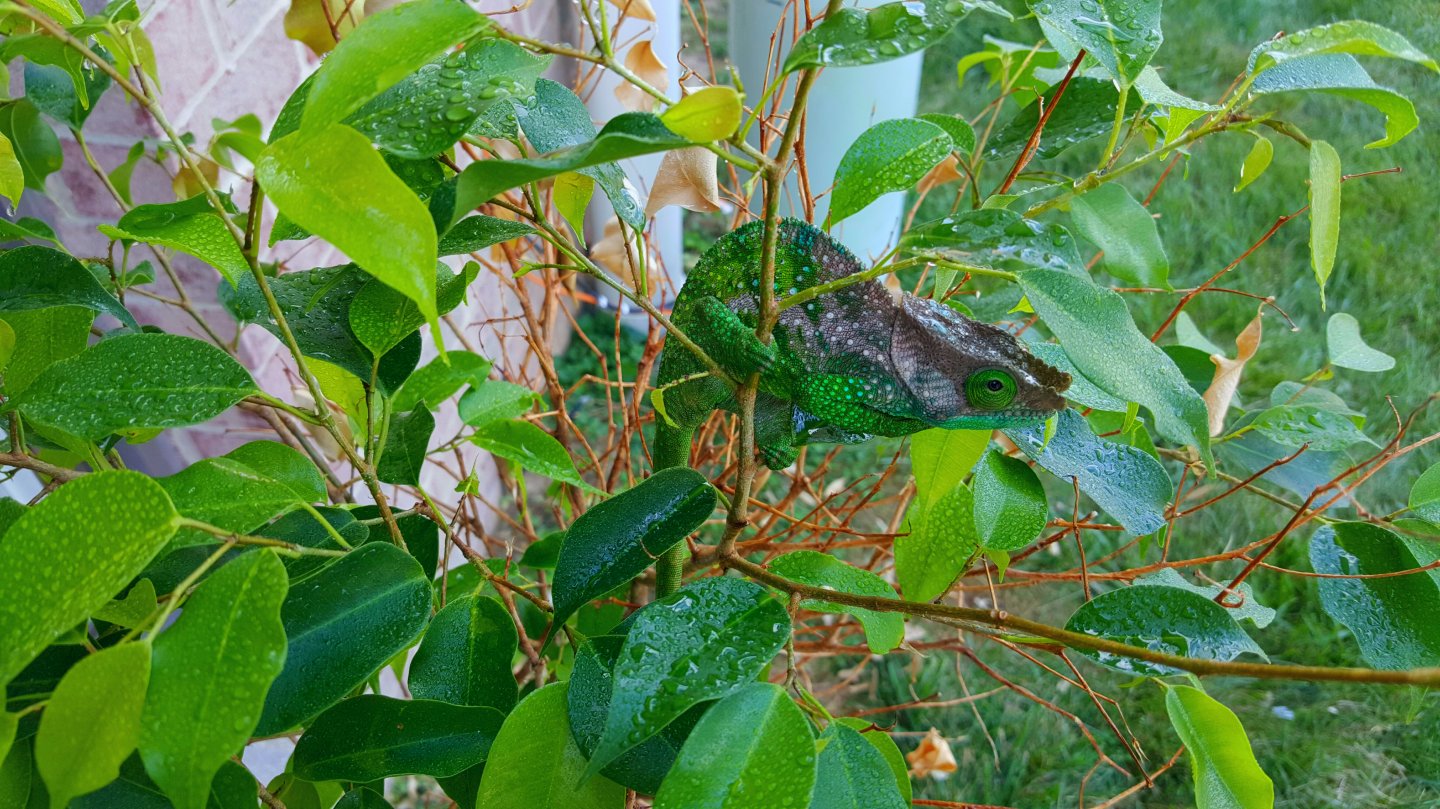 20160711_171601.jpg