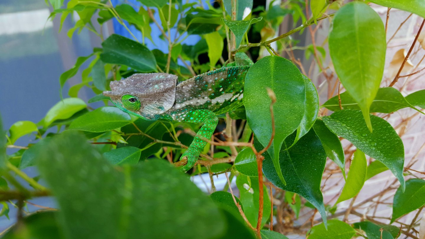 20160711_171805.jpg
