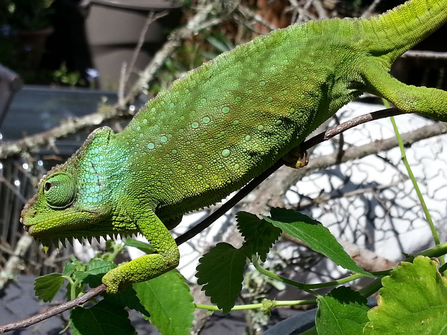 20160713_160932.jpg