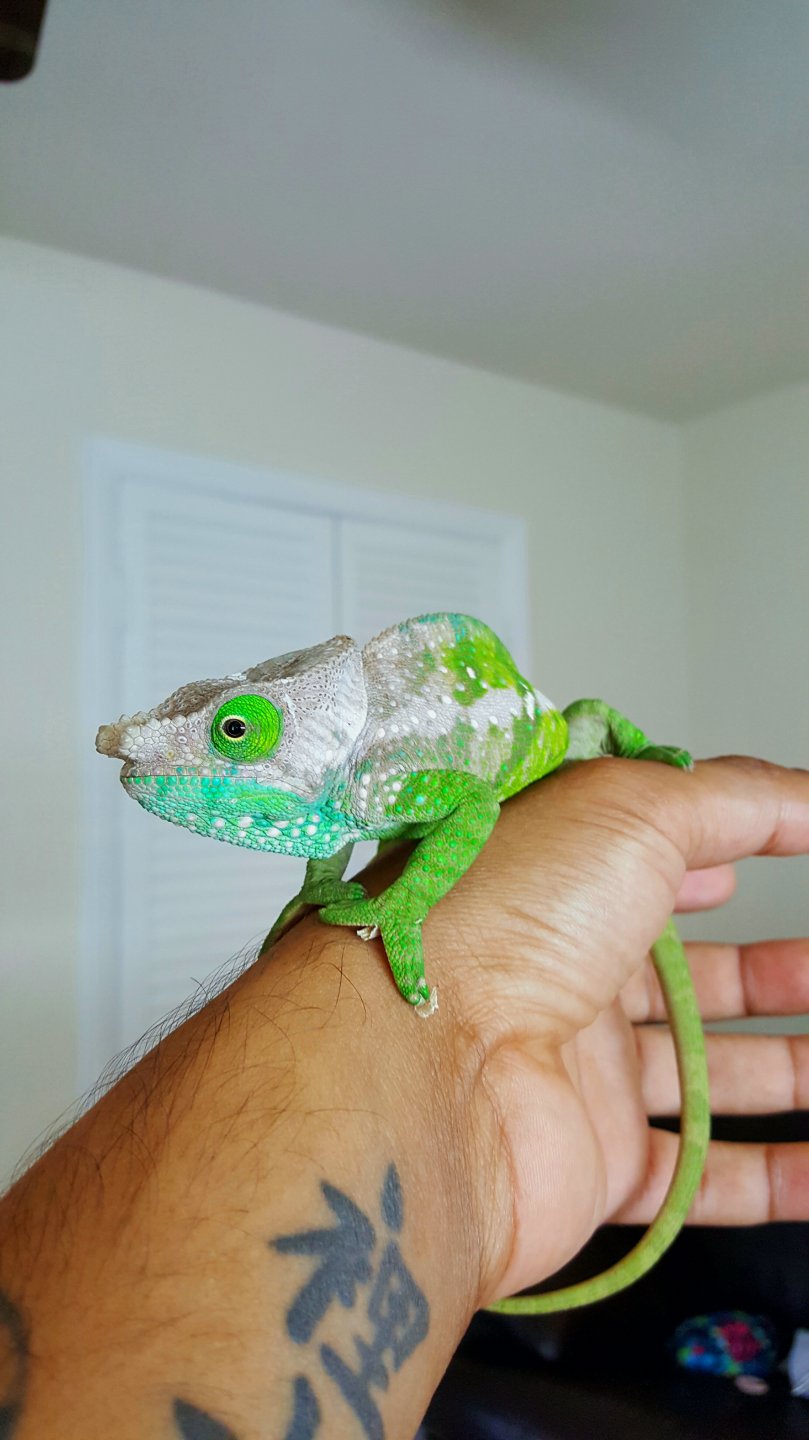 20160725_180303.jpg