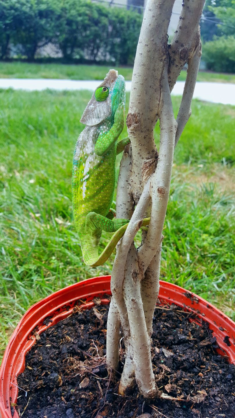 20160725_180419.jpg