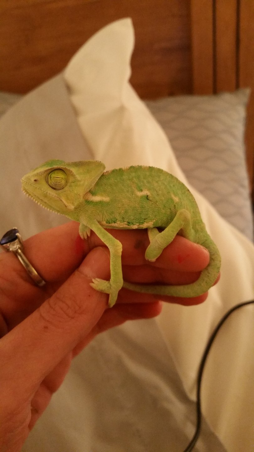 20160726_222738.jpg
