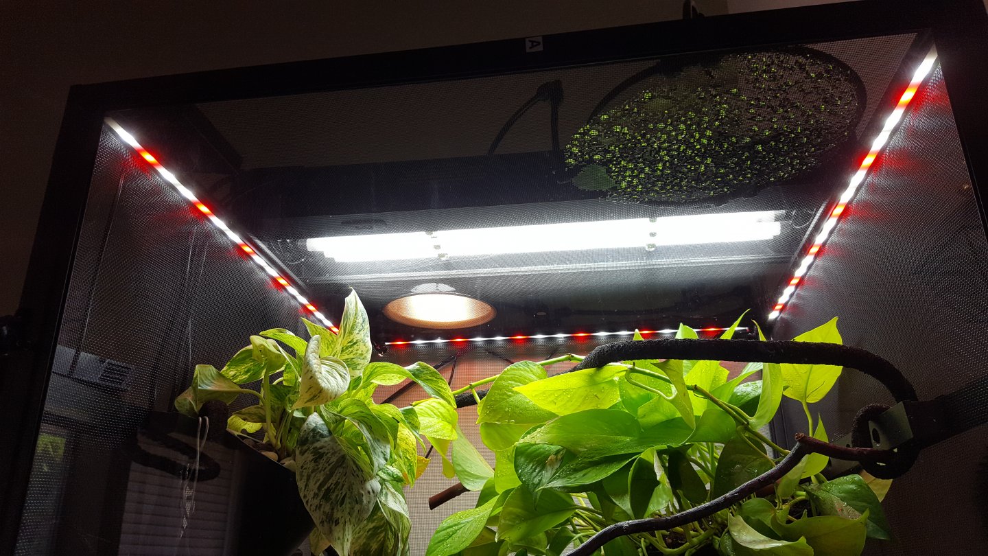 20160731_144041.jpg