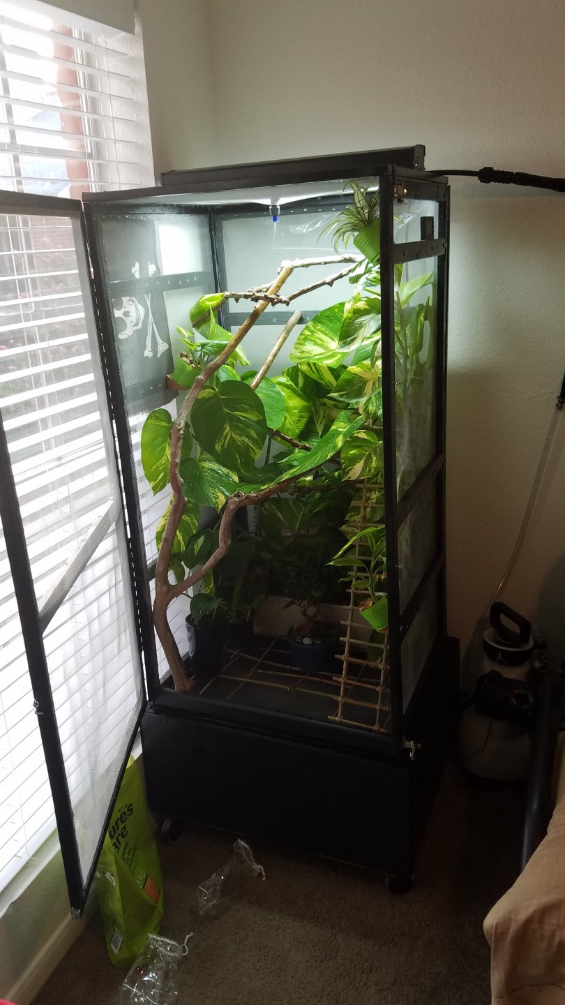 20160810_193926.jpg