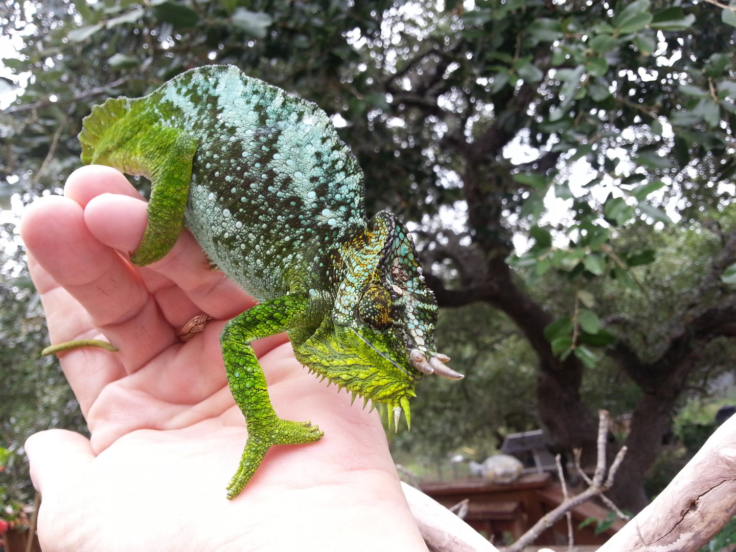 20160813_120245.jpg