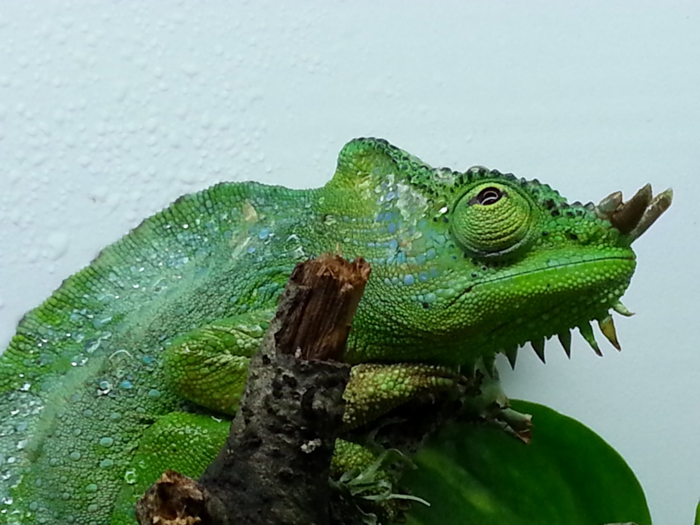 20160815_102920.jpg