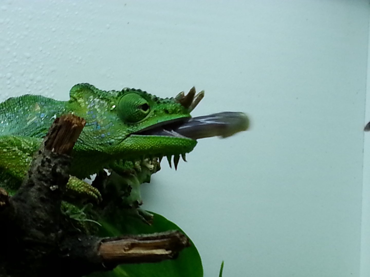 20160815_102937.jpg